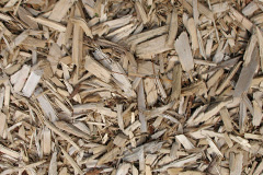 biomass boilers Portneora